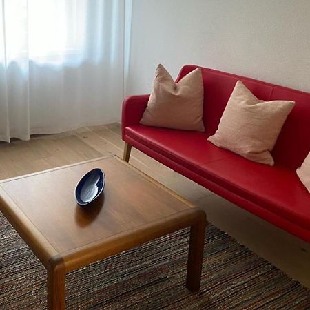 H2 With 3,5 Rooms, 2Br, Living Room And Kitchen, Central And Quite زيورخ المظهر الخارجي الصورة